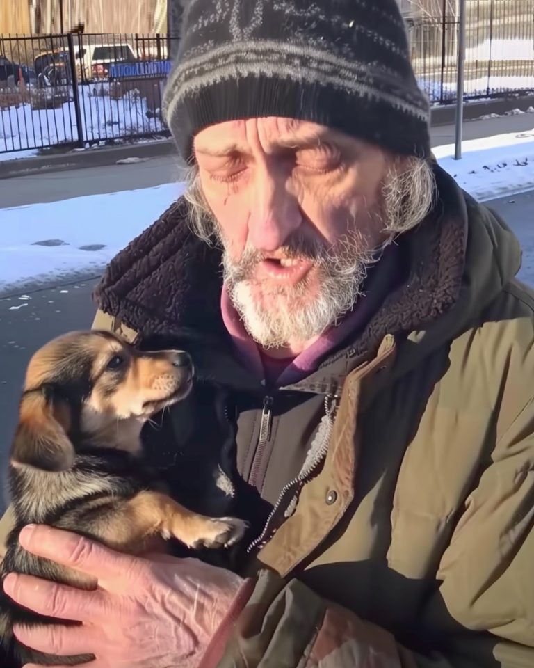 Homeless Man Asked Me to Take His Dog – A Month Later, I Received a Mysterious Letter