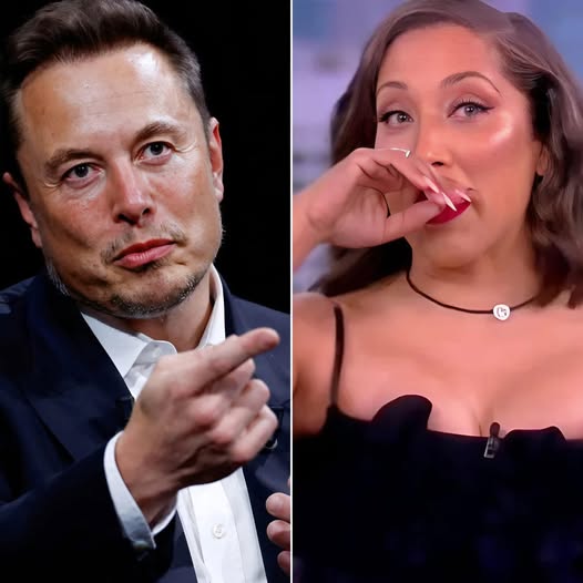 Breaking: Elon Musk Set to Acquire ABC, Vows to Cancel ‘The View’ Calling It -The Worst TV Show in History-