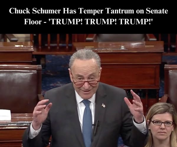 Chuck Schumer Has Temper Tantrum on Senate Floor Over Trump