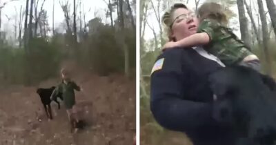 Missing boy comes sobbing out of the woods with a loyal companion who never left his side