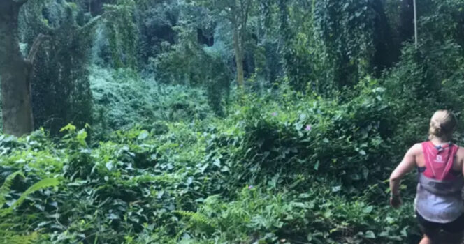 Woman snaps photo running through rainforest – later spots haunting detail in the bushes