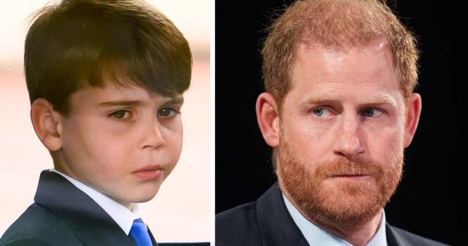 Prince Louis is ‘likely asking questions’ about Prince Harry