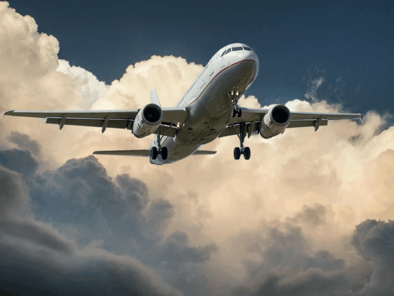 Air India Plane Crash: Authorities Confirm Sole Survivor Found Among 242 Passengers
